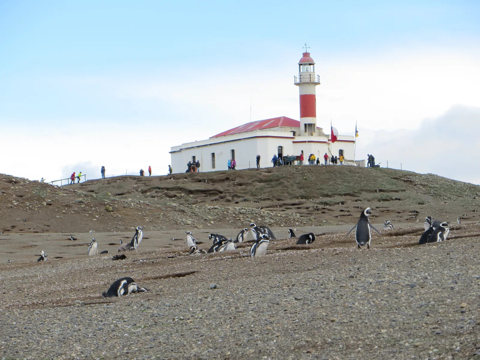 Guia de viagem - Isla Magdalena, Patagonia