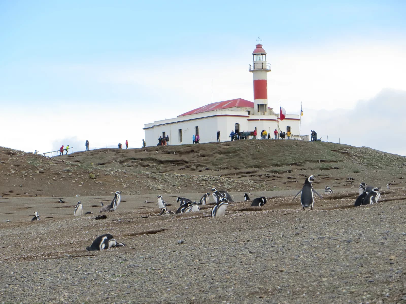 Punta Arenas